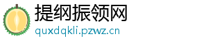 提纲振领网